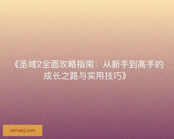 《圣域2全面攻略指南：从新手到高手的成长之路与实用技巧》