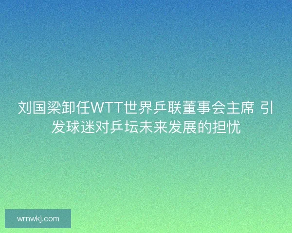 刘国梁卸任WTT世界乒联董事会主席 引发球迷对乒坛未来发展的担忧